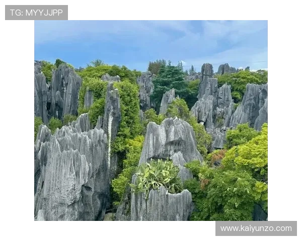 滚球大小球看盘方法避坑指南彩票数字高频玩法防骗 滚球大小球看盘方法避坑指南彩票数字高频玩法防骗